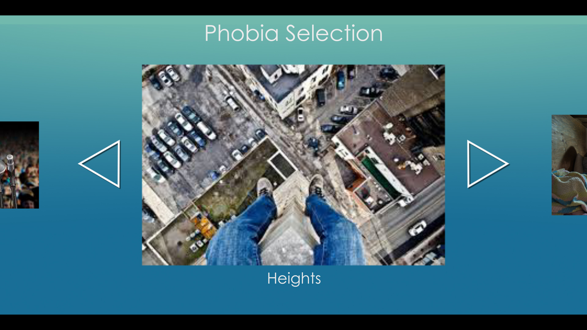 phobia_selection.png